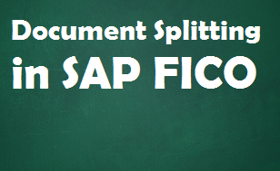 Document Splitting in SAP FICO - New GL Concept