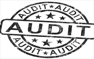 Company Audit – when and how audits are conducted under companies act