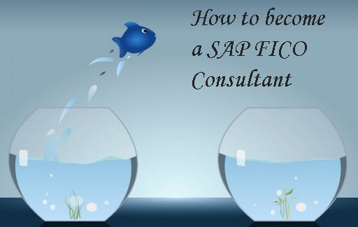 How to become a SAP FICO consultant