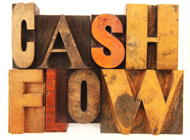 cash flow statement for private limited company